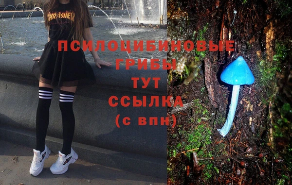 мдпв Балахна
