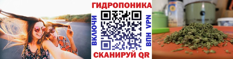 купить закладку  Шарья  МЕГА рабочий сайт  Канабис Ganja 